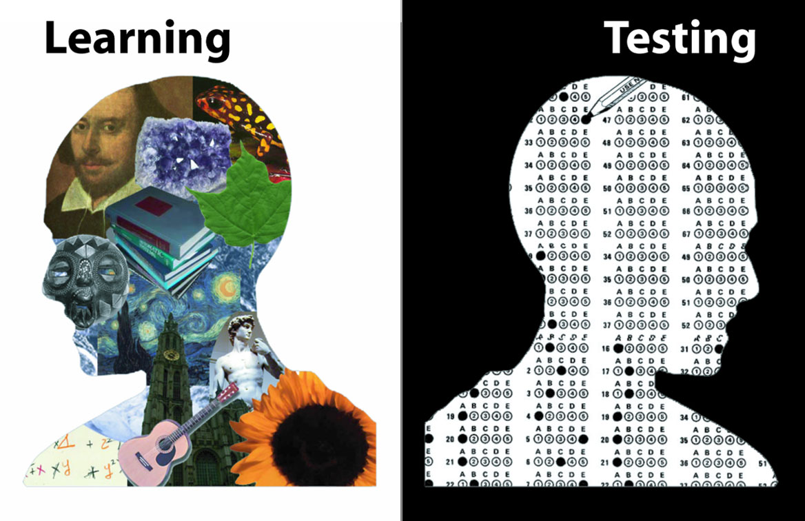 Learning to Test or Testing to Learn? | Execu-Sensory & Neuropedagogy ...