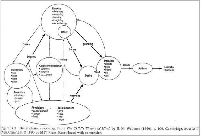 Child's Belief-Desire Reasoning Child's Belief-Desire Reasoning