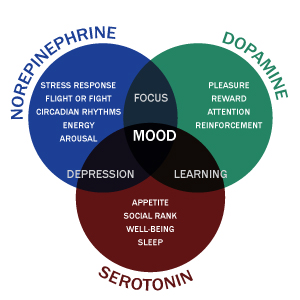 Norepinephrine-Dopamine-Serotonin Venn